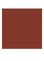 Runway Lip Color - lipliner - 107 FIRE