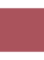 Runway Lip Stylo Matte - lipstick - 110 Blush Absolute