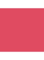 Runway Lip Stylo Matte - lipstick - 111 Rose Plumage