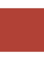Runway Lip Stylo Matte - lipstick - 114 Velvet Vermilion