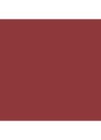 Runway Lip Stylo Matte - lipstick - 115 Honeyed Mink
