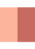 Shade and Illuminate Blush - 01 FAIR