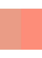 Shade and Illuminate Blush - 05 SUNDRUNK
