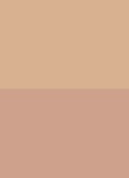 Shade and Illuminate Highlighting Duo - highlighter palette - MOODLIGHT
