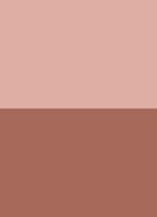 Shade and Illuminate Highlighting Duo - highlighter palette - PEACHLIGHT
