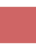 Make Me Blush Powder - poeder blush - 37 PEACHY NUDE