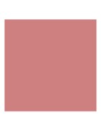 Rouge Pur Couture Color-In-Care - lipstick - N14