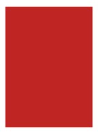 Rouge Pur Couture Lipstick  - R1966