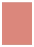 Rouge Pur Couture Lipstick  - N3