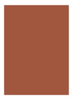 Rouge Pur Couture Lipstick  - N11