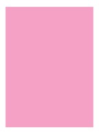 Rouge Pur Couture Lipstick  - P22