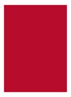 Rouge Pur Couture Lipstick - RM