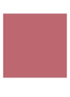 Rouge Pur Couture The Bold - lipstick - 17 Daring Nude