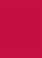 The Inks Blur Blurring Matte Lip Stain - 236 Ruby Attraction