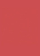 The Inks Blur Blurring Matte Lip Stain - 216 Pink Domination