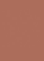 The Inks Vinyl Cream High Shine Lip Stain - 614 Brown Ignition