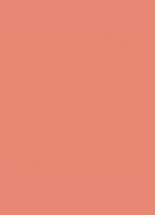 The Inks Vinyl Cream High Shine Lip Stain - 620 Peach Subversion