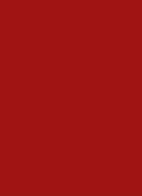 The Slim Couture Matte - lipstick - 1966 Rouge Libre